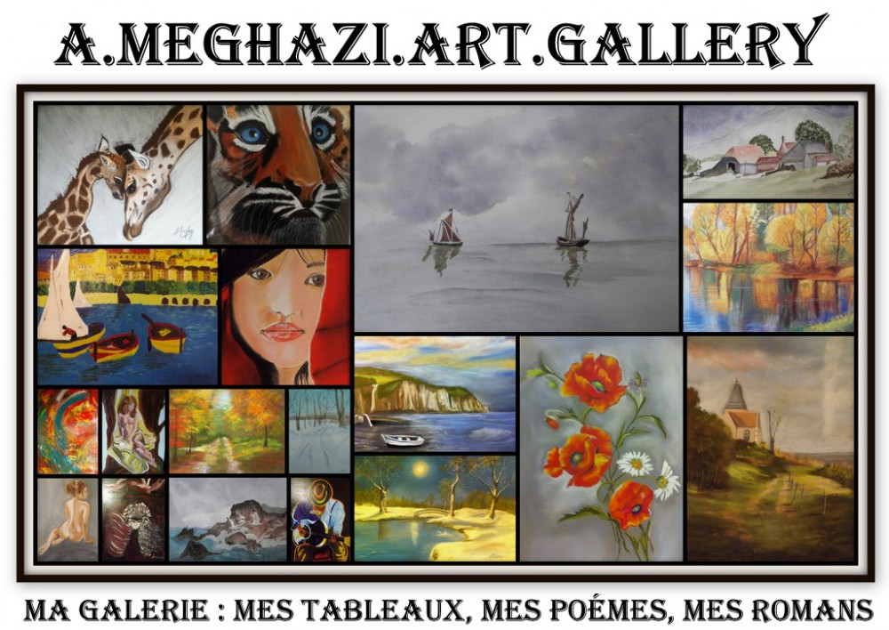 a.meghazi.art.gallery